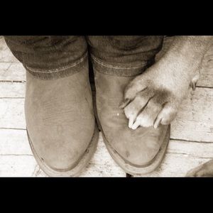 Meet your Posher, Donna